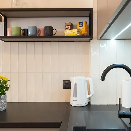 Bright Rose * Krakkó
